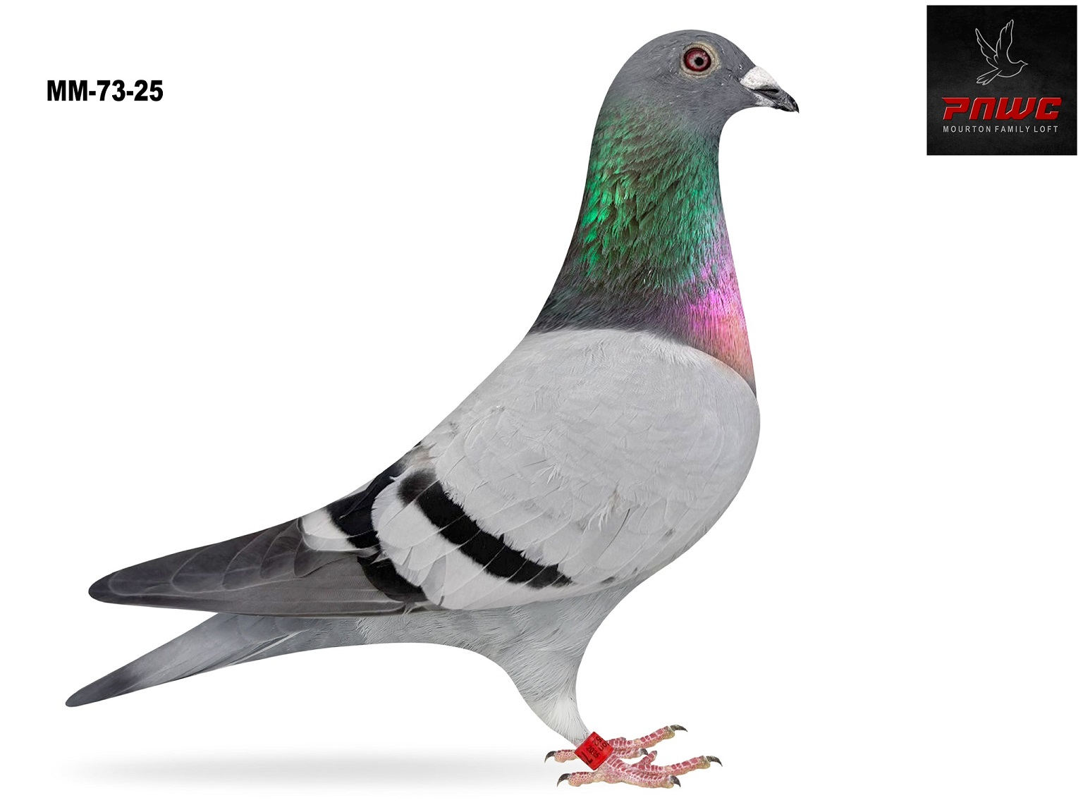 MM-73-25 BB COCK