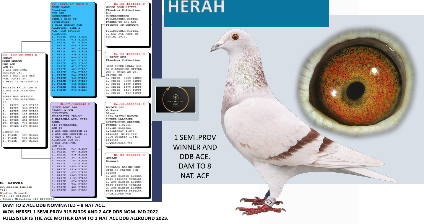Preview Image 2