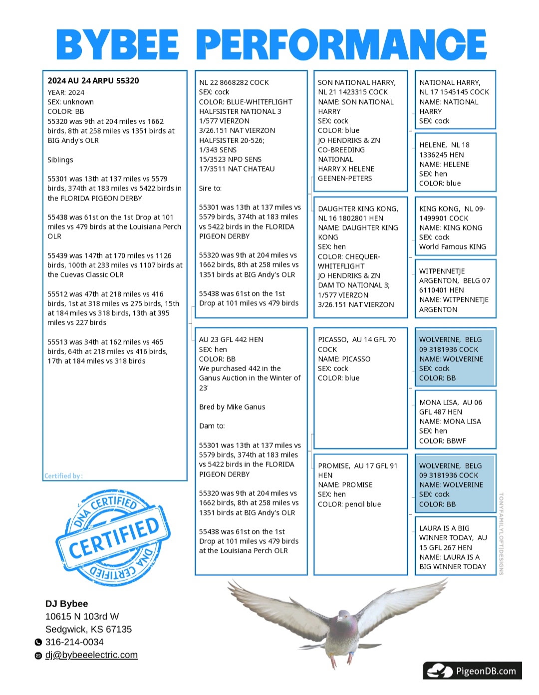 55320 AU 2024 ARPU BB HEN
