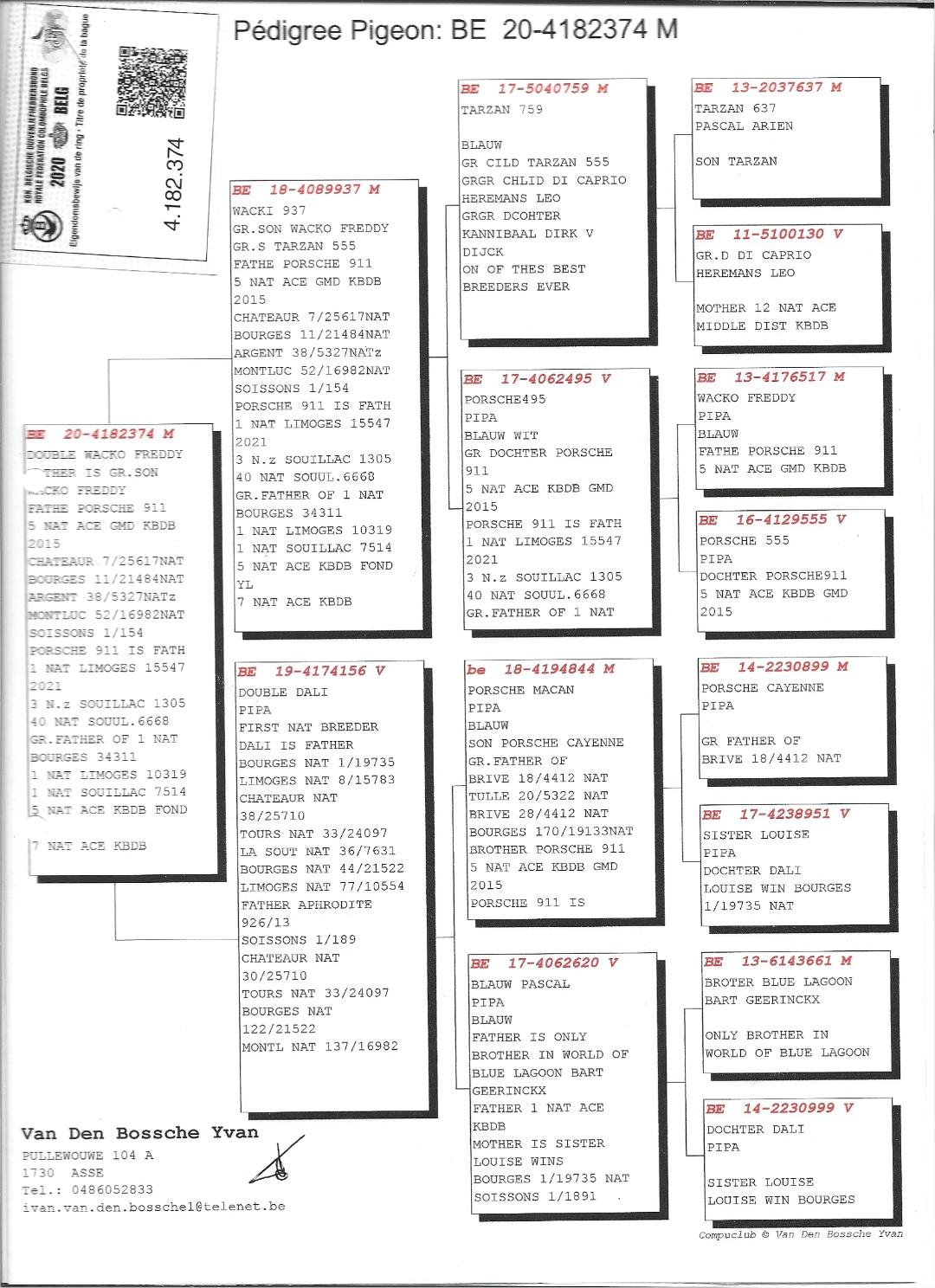 Preview Image 3