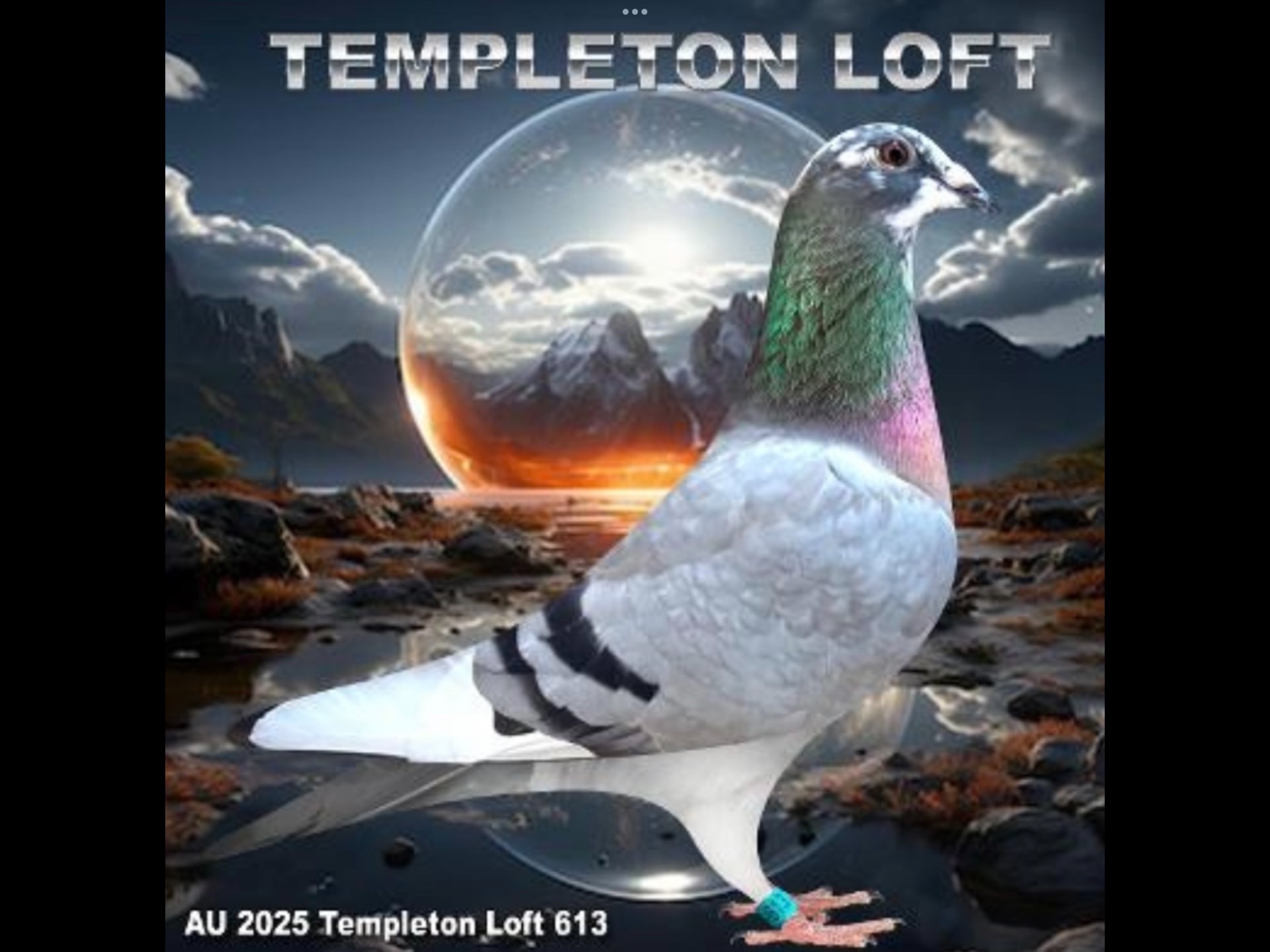 Templeton loft 2025/613