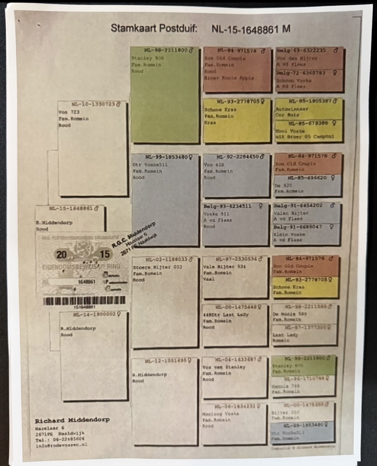 Preview Image 5