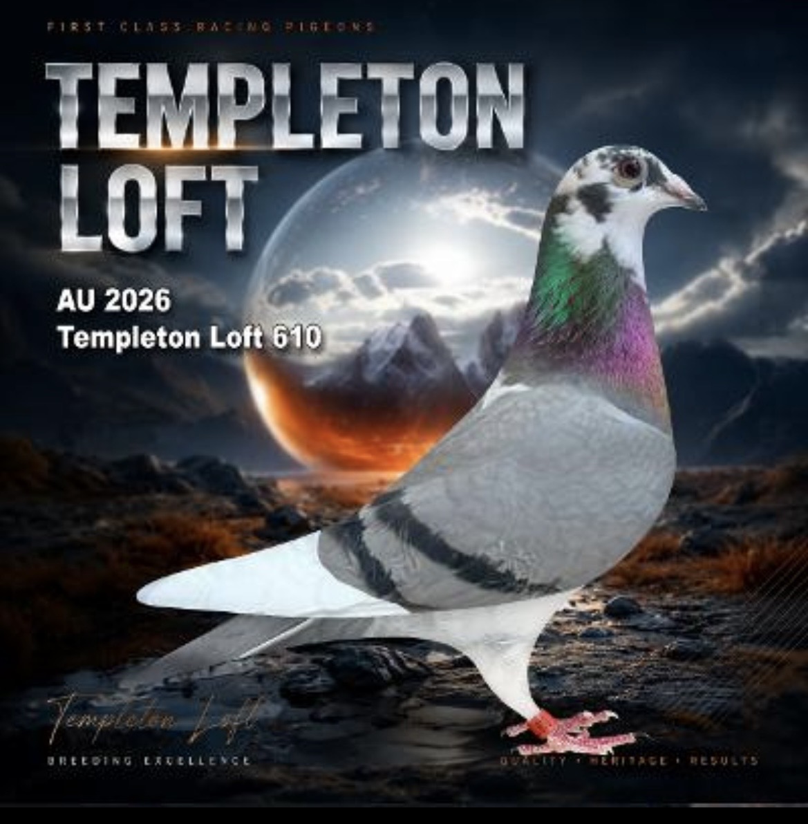 Templeton loft 2026/610 full DNA