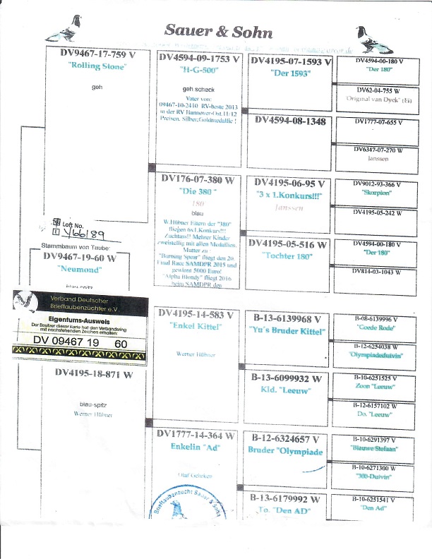 Preview Image 6
