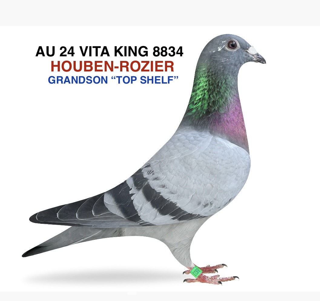 HOUBEN-ROZIER GRANDSON “TOP SHELF”