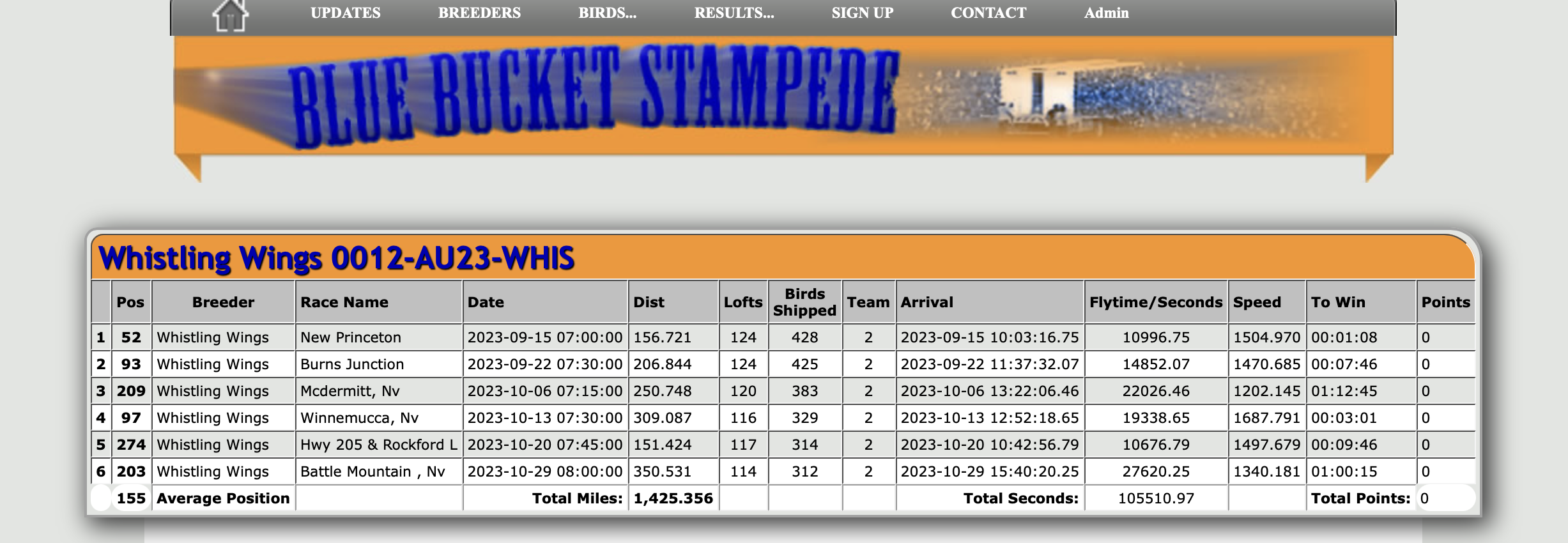 Racing Pigeon Auction