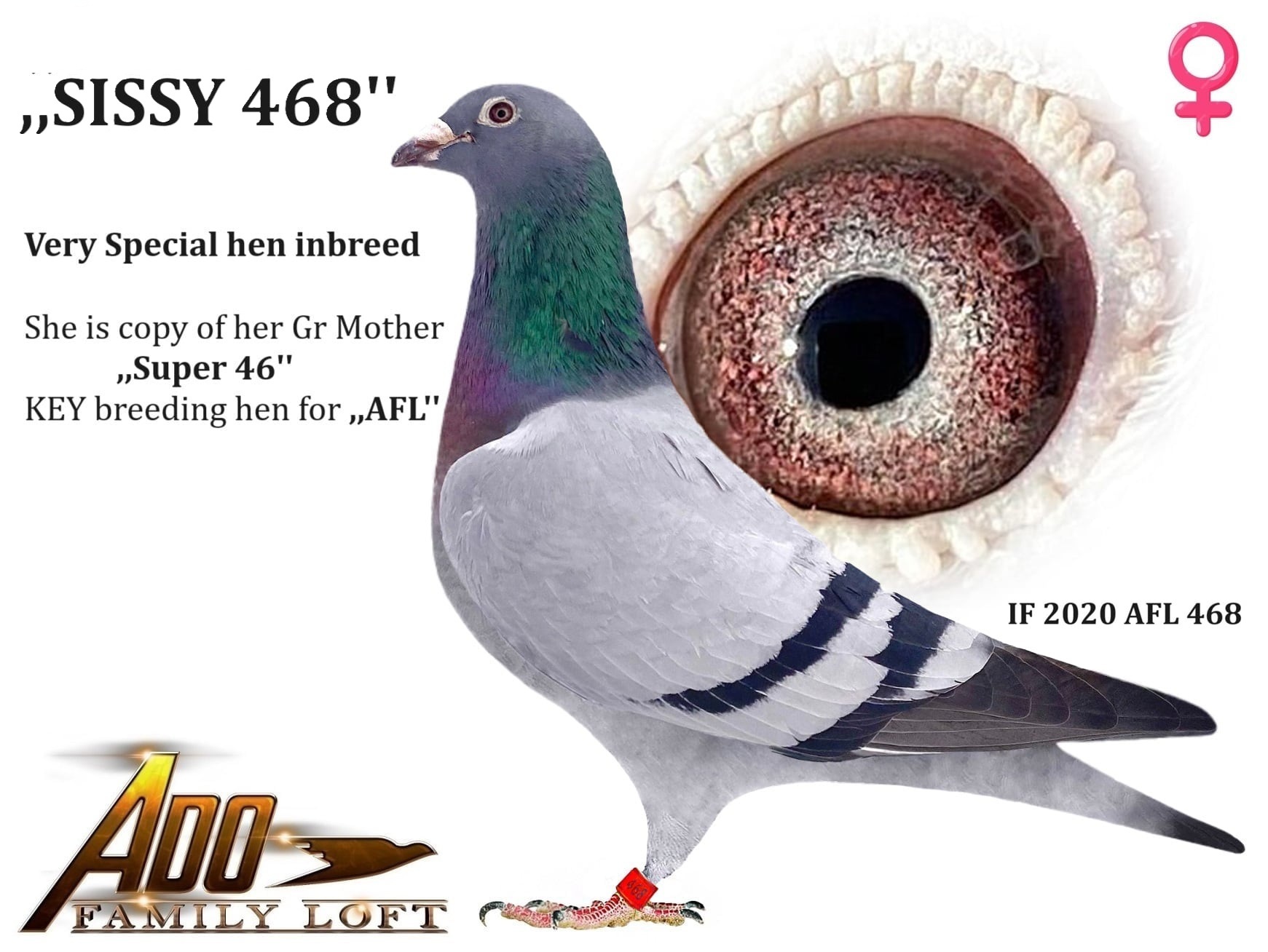 IF 2020 AFL 468