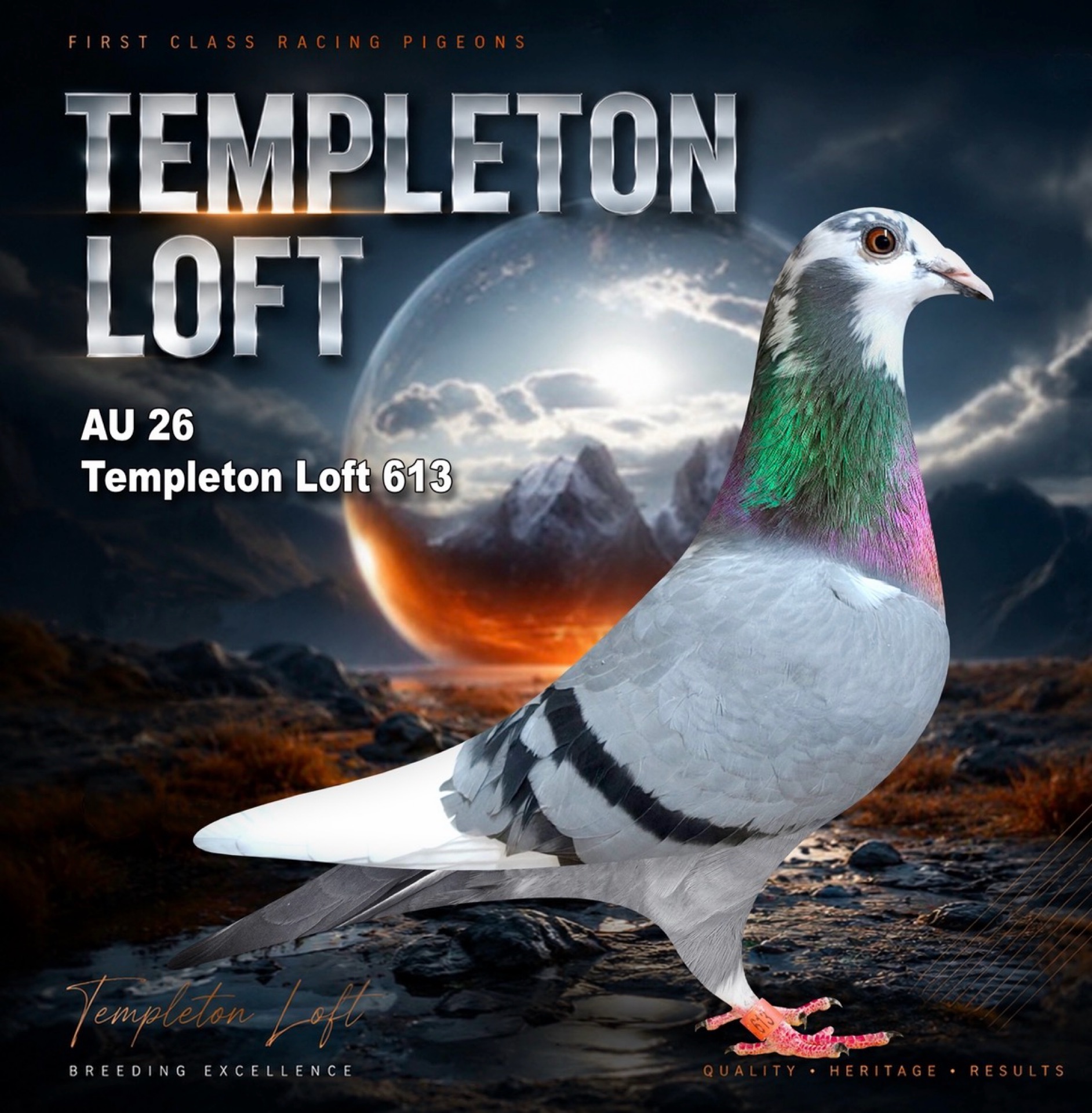 Templeton loft 2026/613 FULL DNA