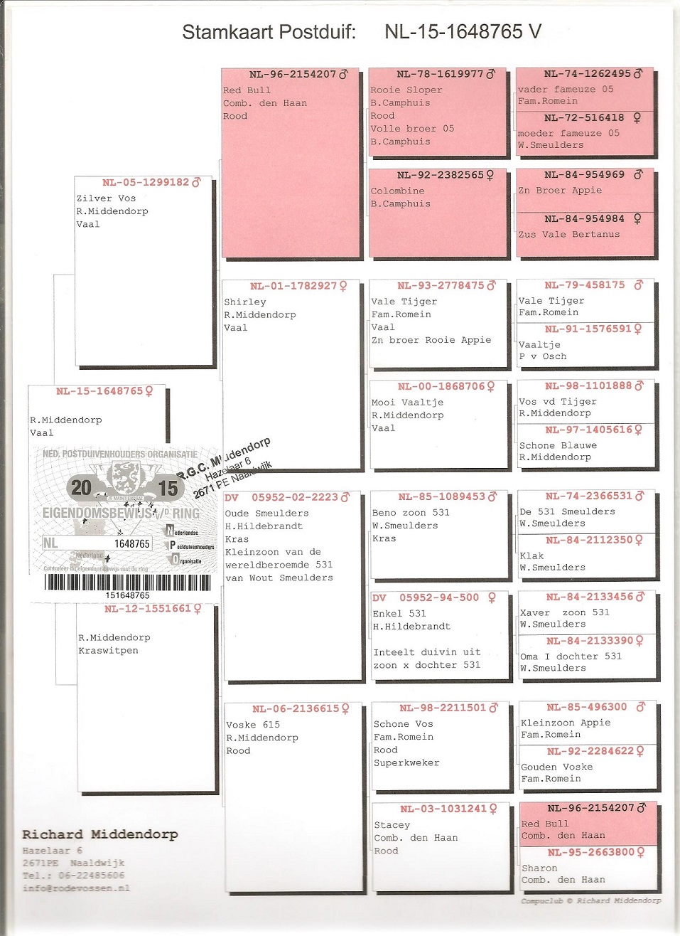 Preview Image 6