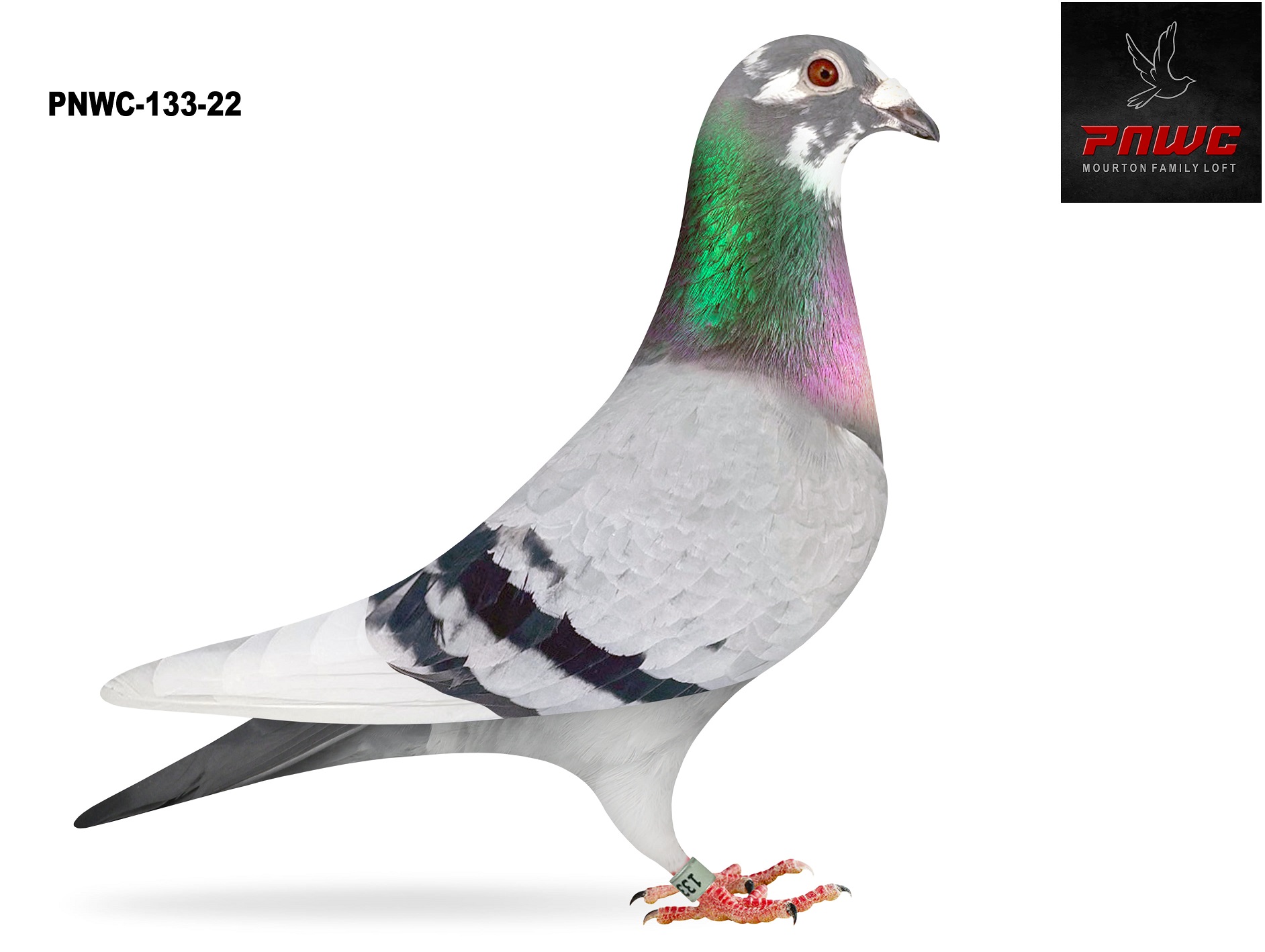 PNWC-133-21-22 BBWF HEN