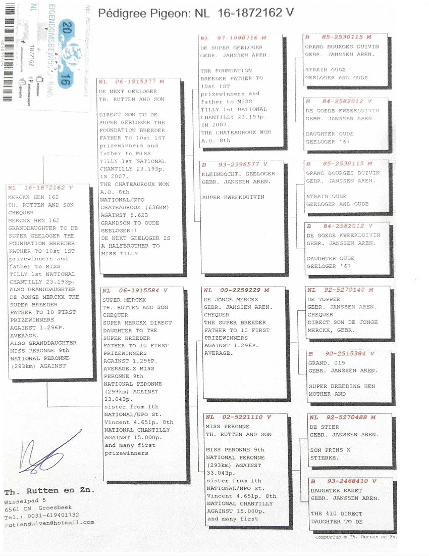 Preview Image 5