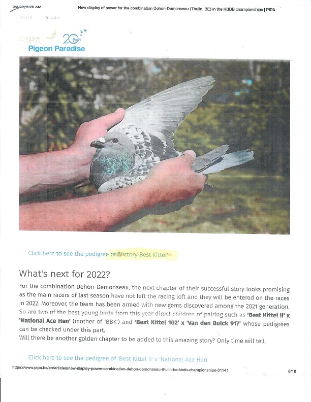 Preview Image 21