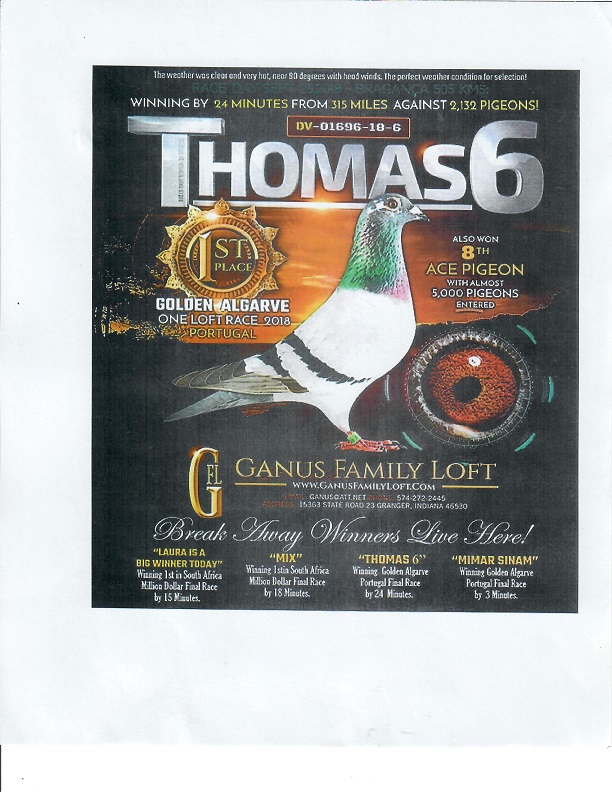 Preview Image 20