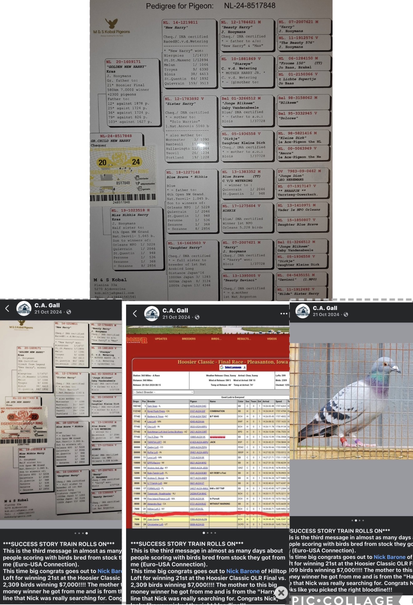 Preview Image 6