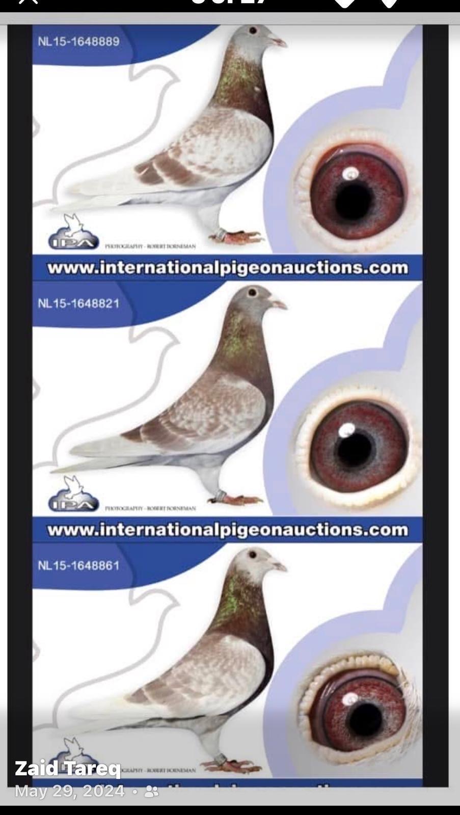 Preview Image 2