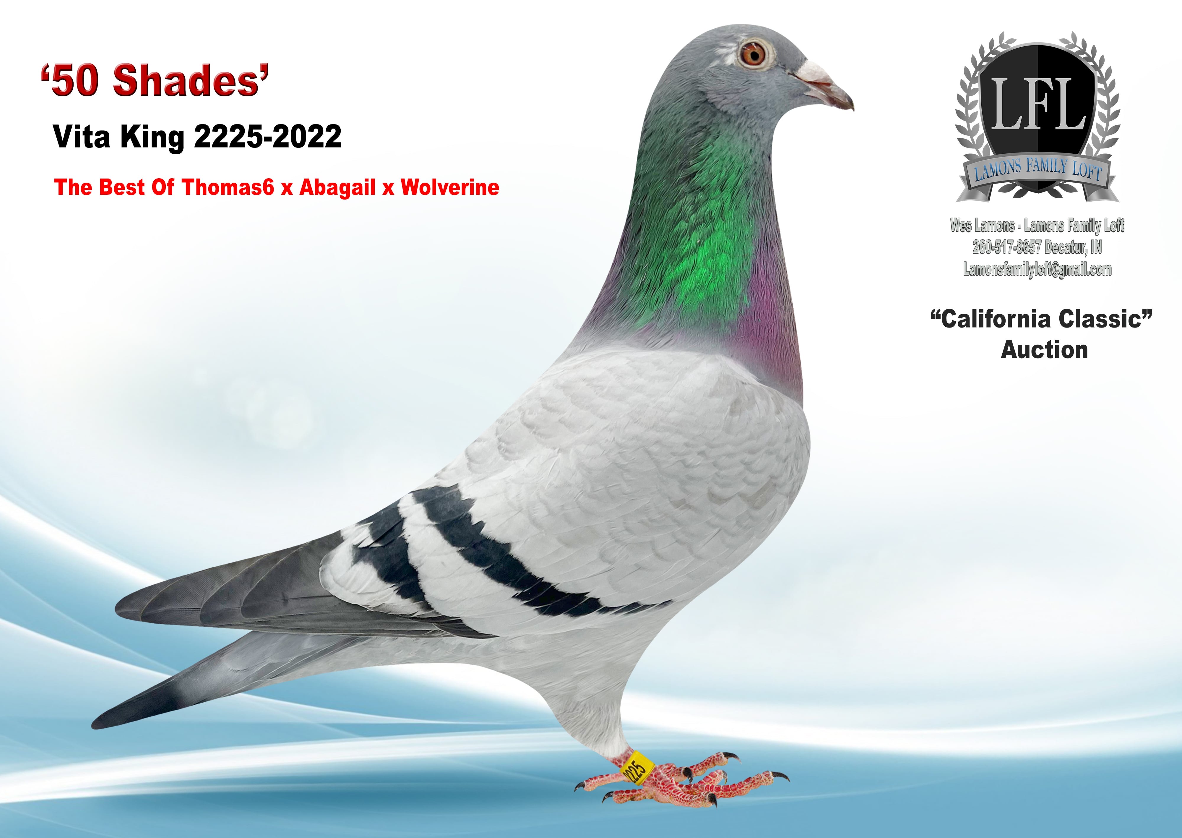 Lot 49. 2022 Vita King 2225