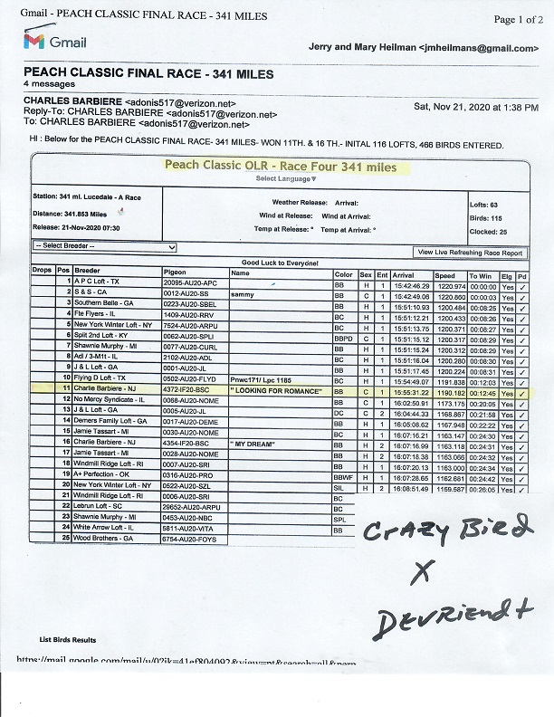 Preview Image 13