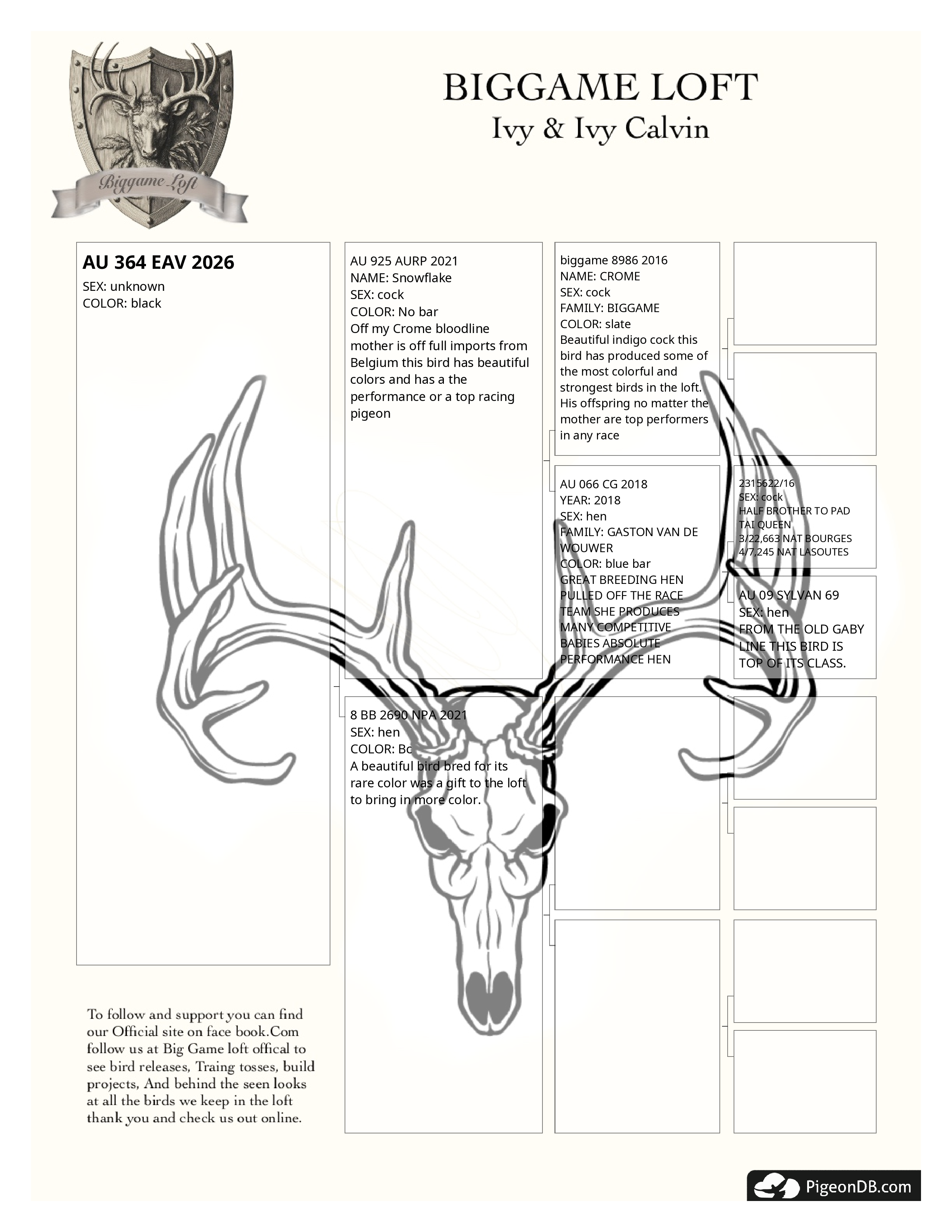 Preview Image 2