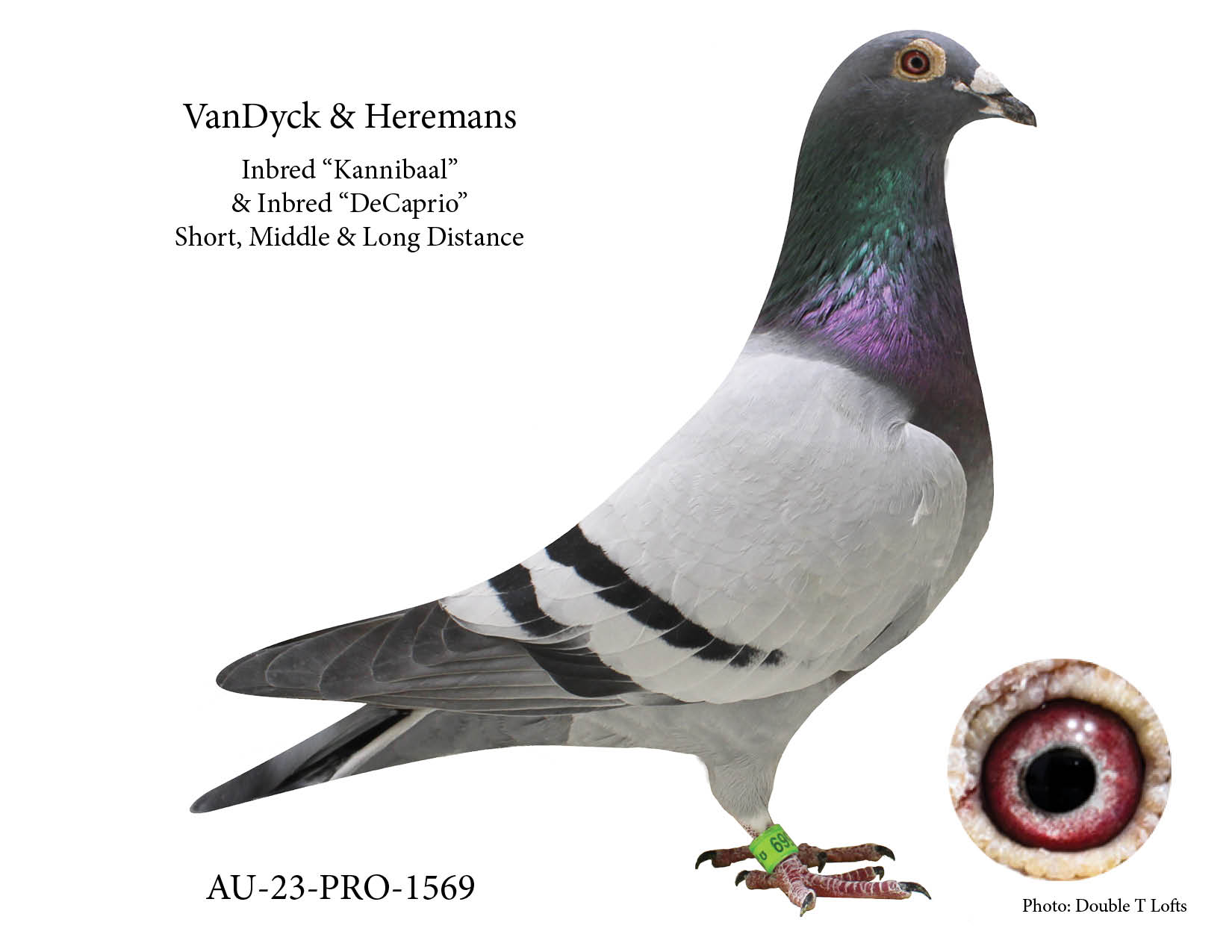 1st 219 miles. 2(e1) at 219 miles