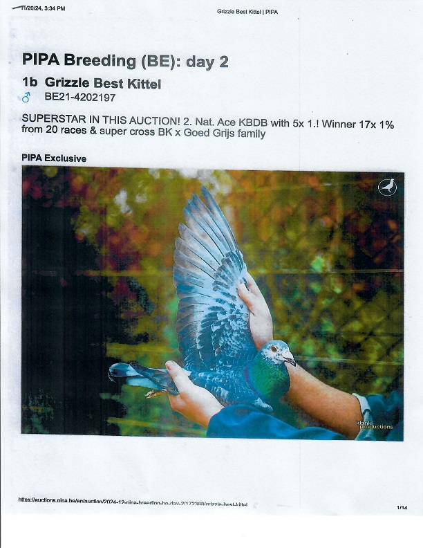 Preview Image 17