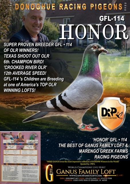iPigeon.com - Racing Pigeon Auction