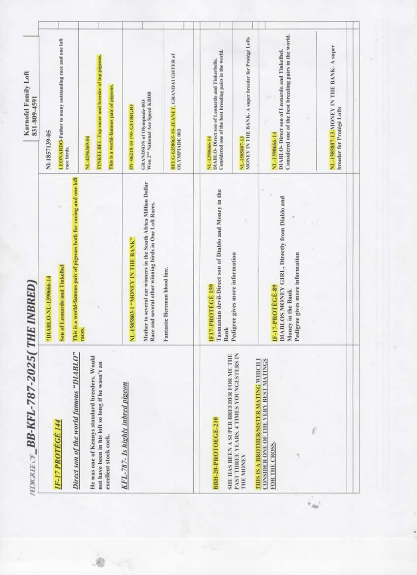 KFL 787 BBH INBRED DIABLO AND MONEY IN THE BANK