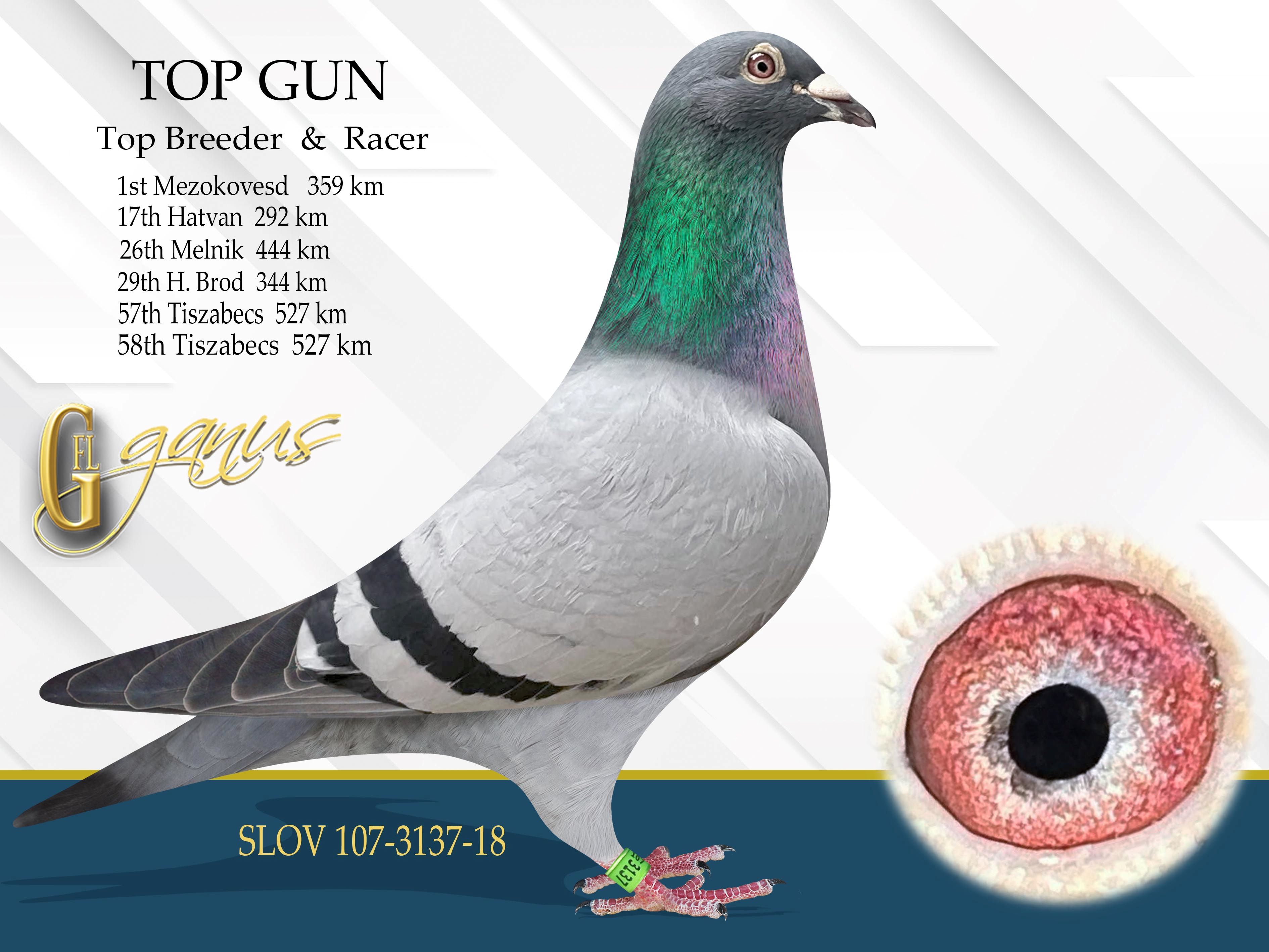 GFL 89-2025 Blue Hen