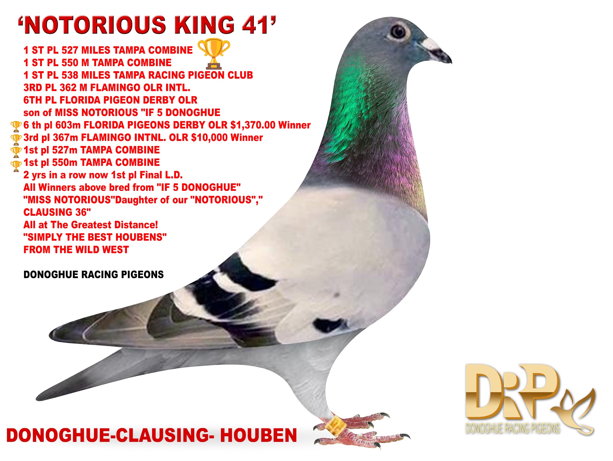 TOP OLR , COMBINE WINNERS VS ALL USA