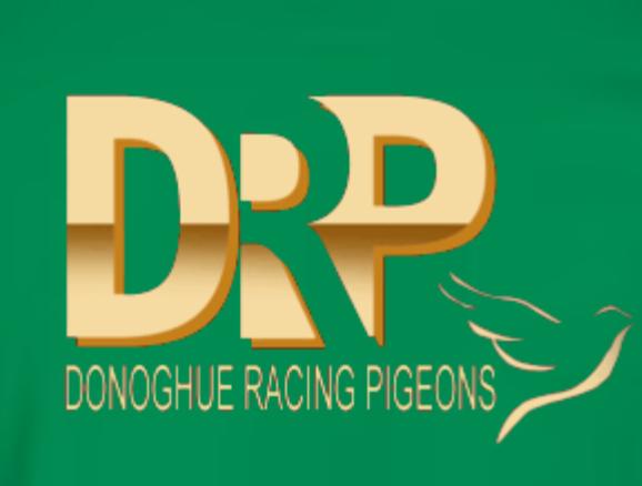 MERRY CHRISTMAS TO ALL 