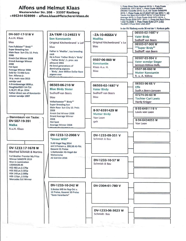 Preview Image 2