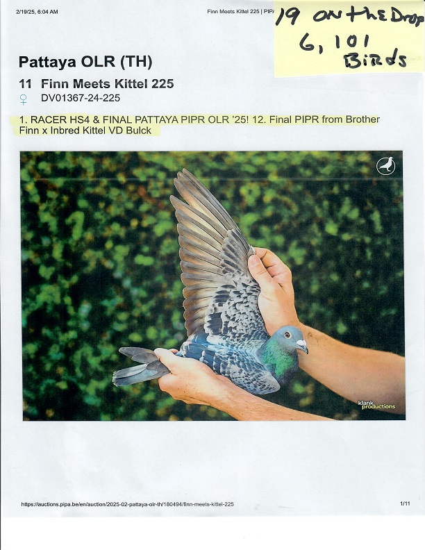 Preview Image 15