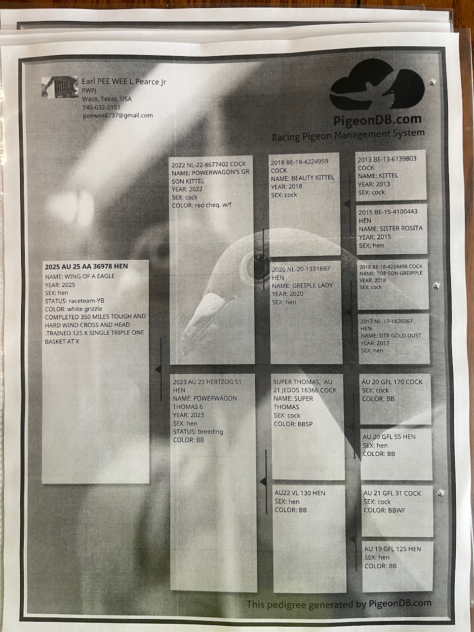 TESTED BLOOD NO STOCK
