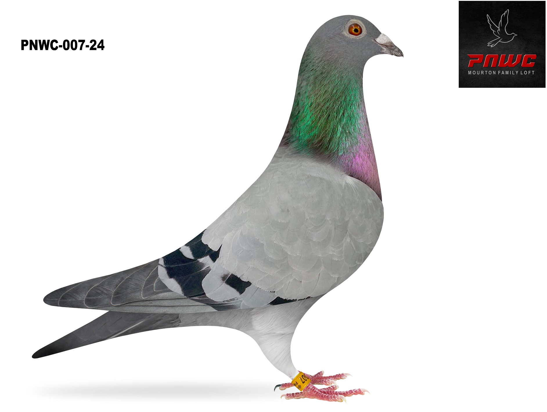 PNWC-007-24 BB HEN