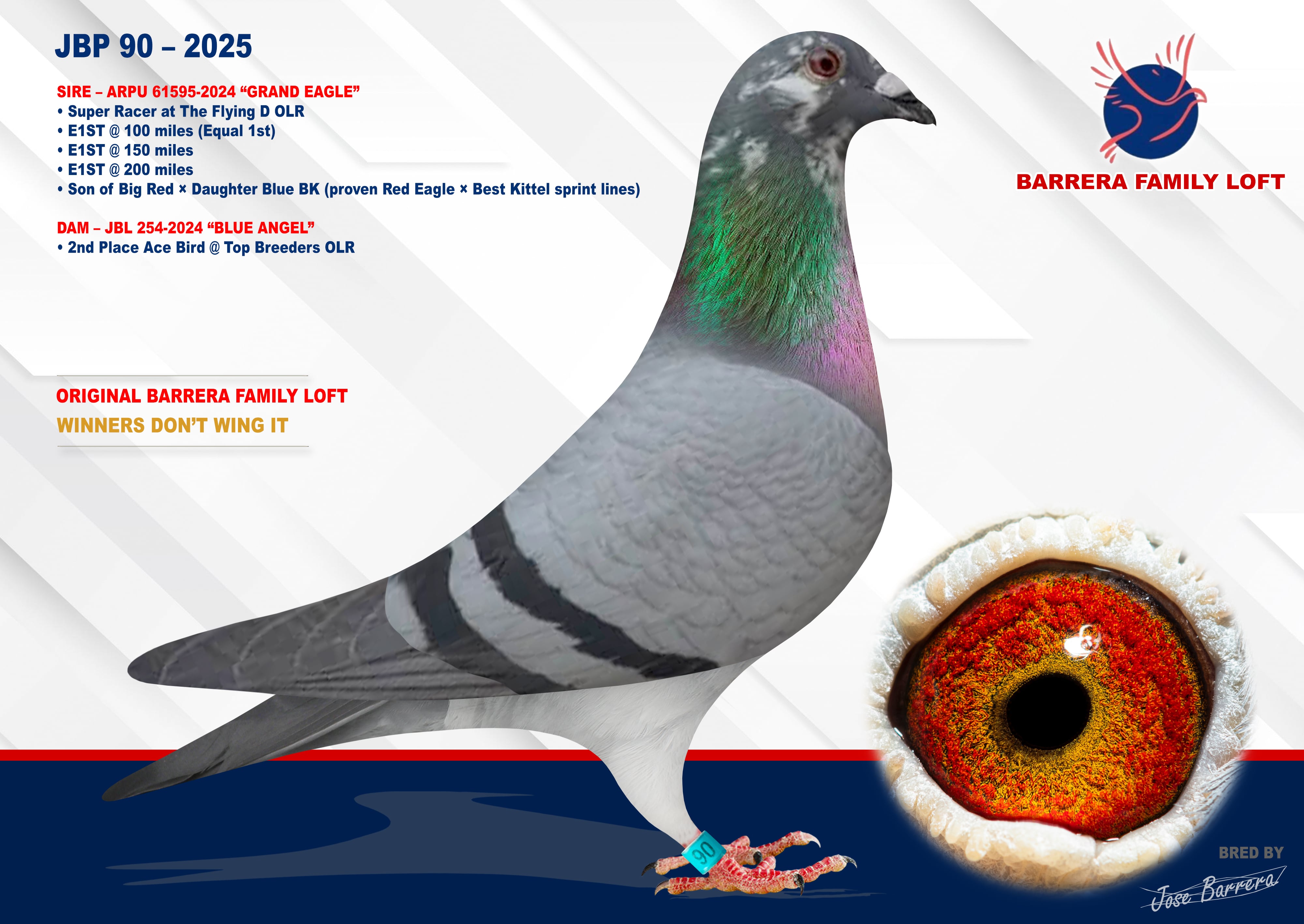 Kittel Sprint Lines × 2nd Ace Bird — Blue Bar Hen