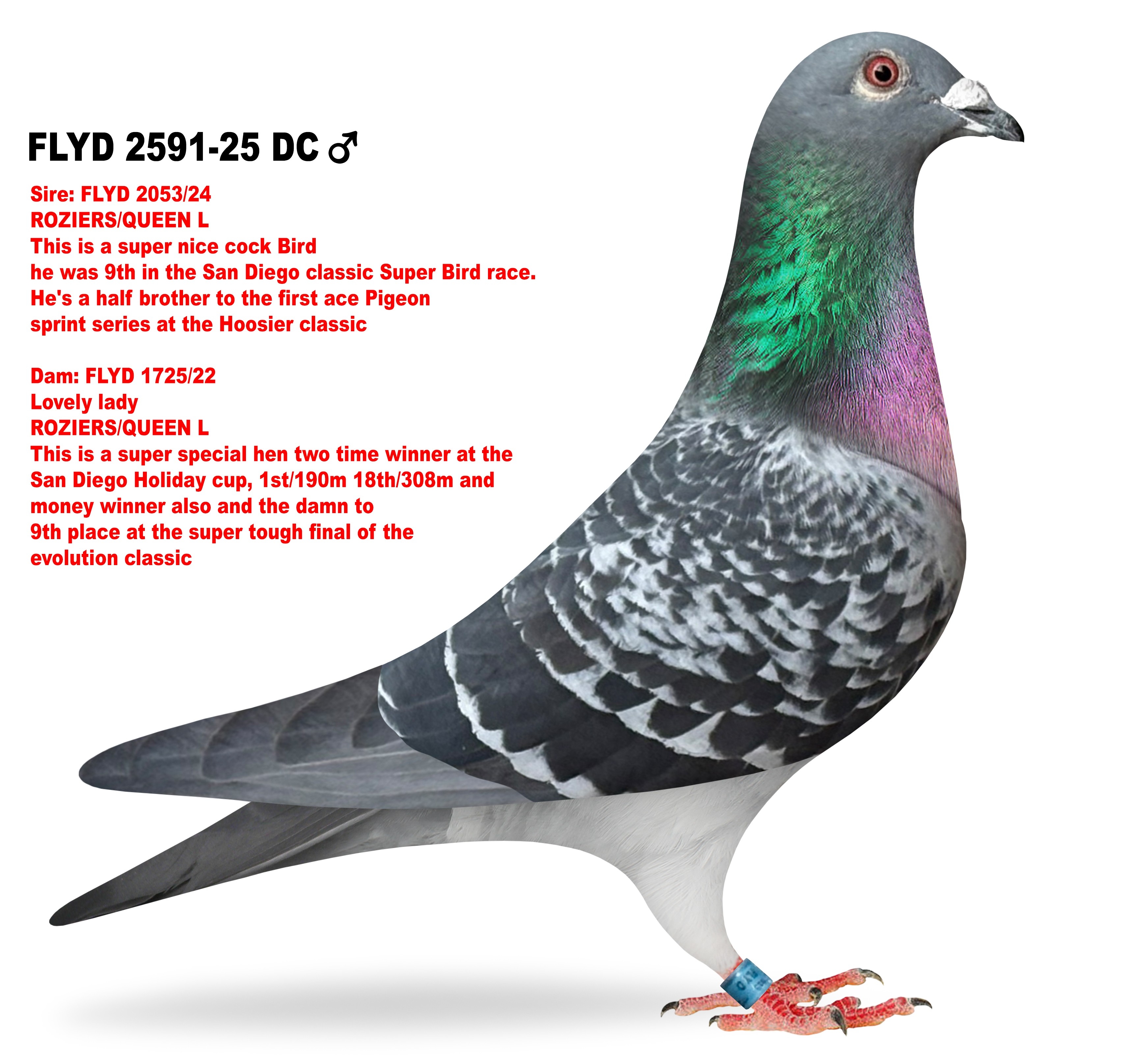 Bird donated by Paul & Kimberly Daniel