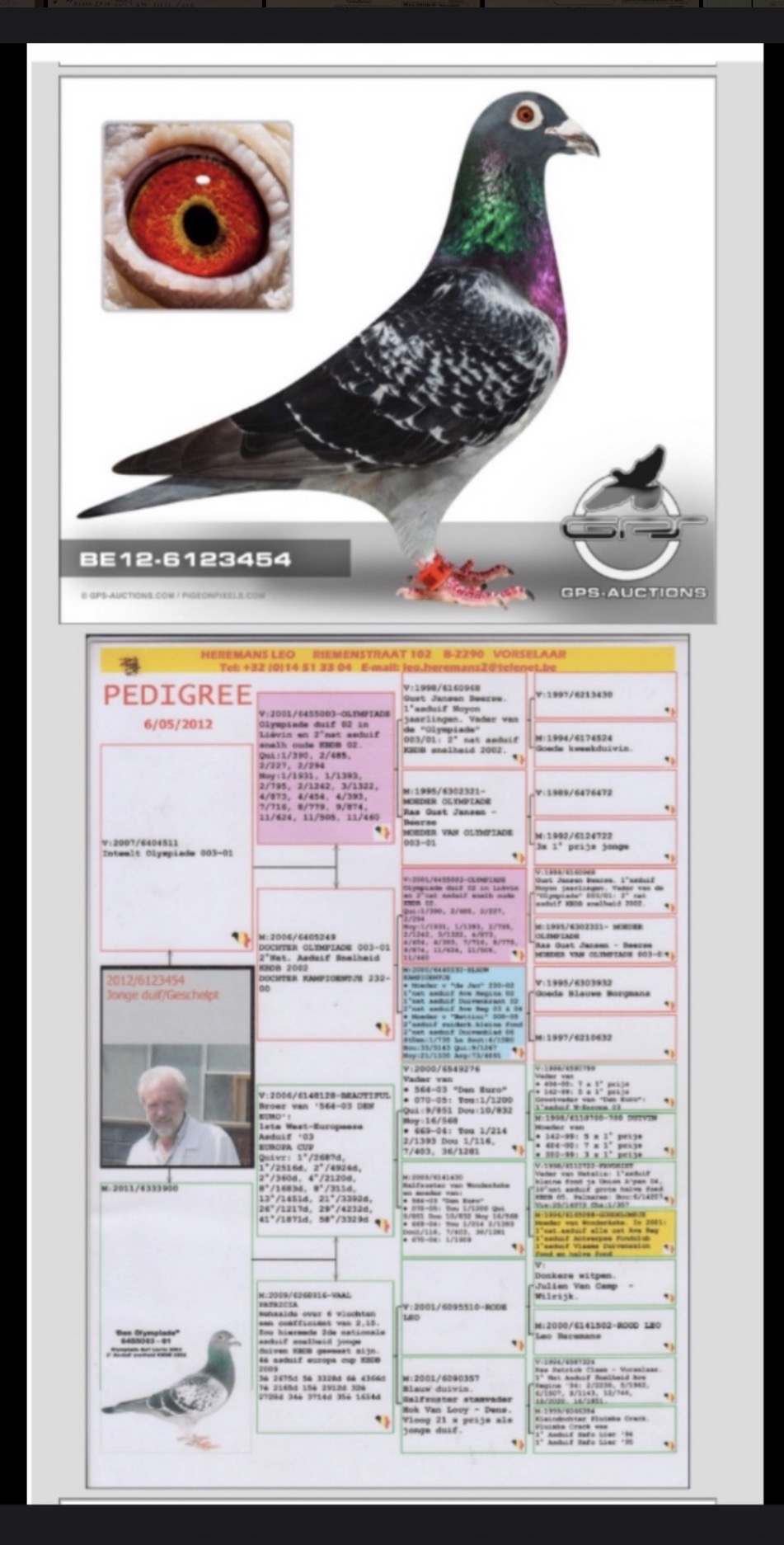Preview Image 3