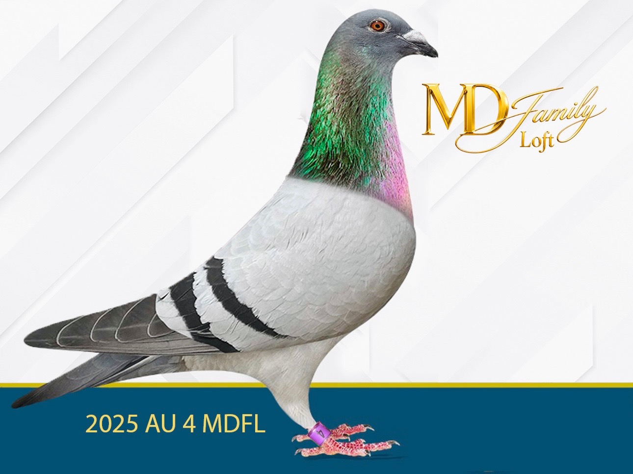 2025 AU 4 MDFL 