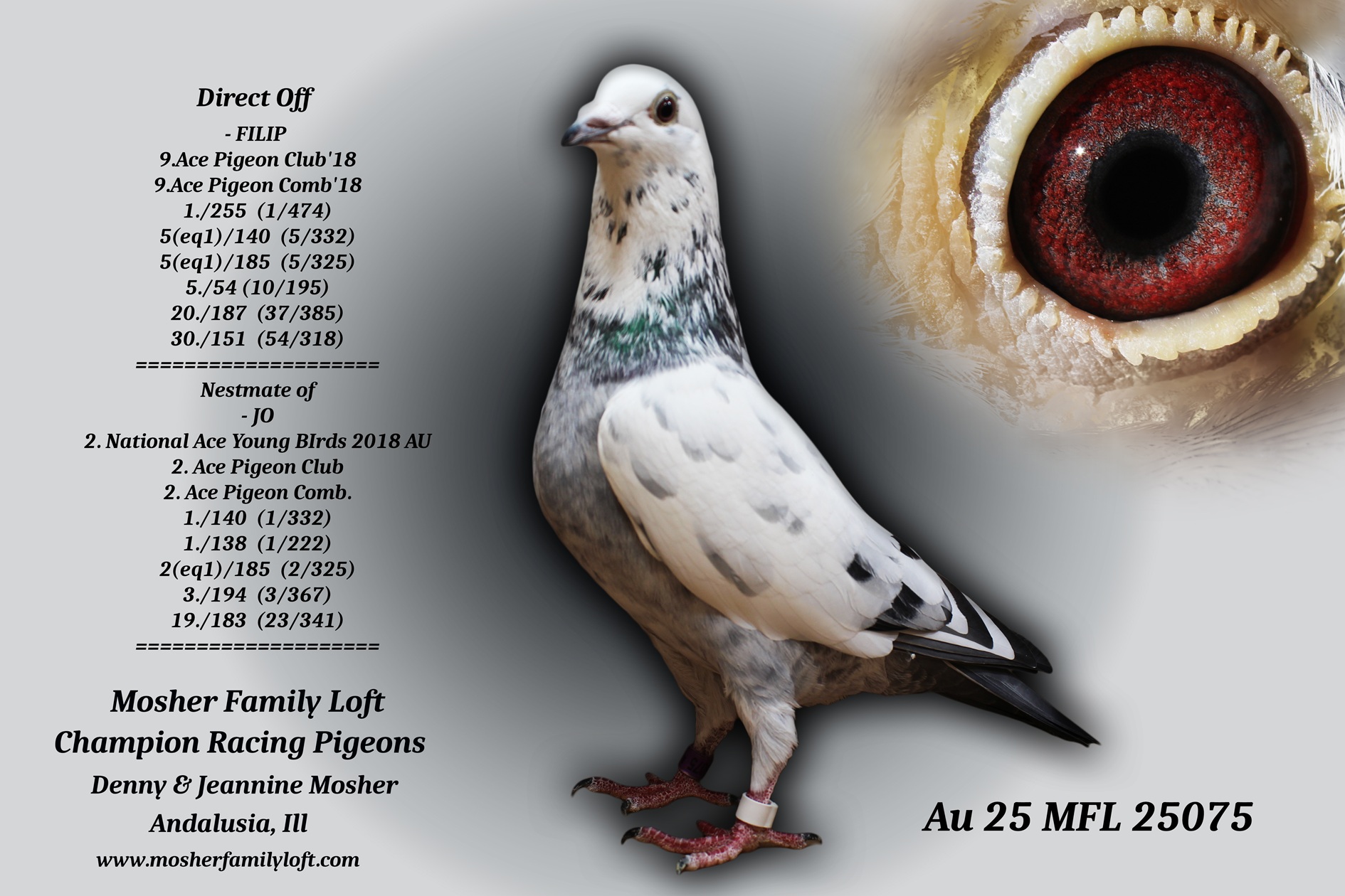 AU 25 MFL 25075 Cock ??