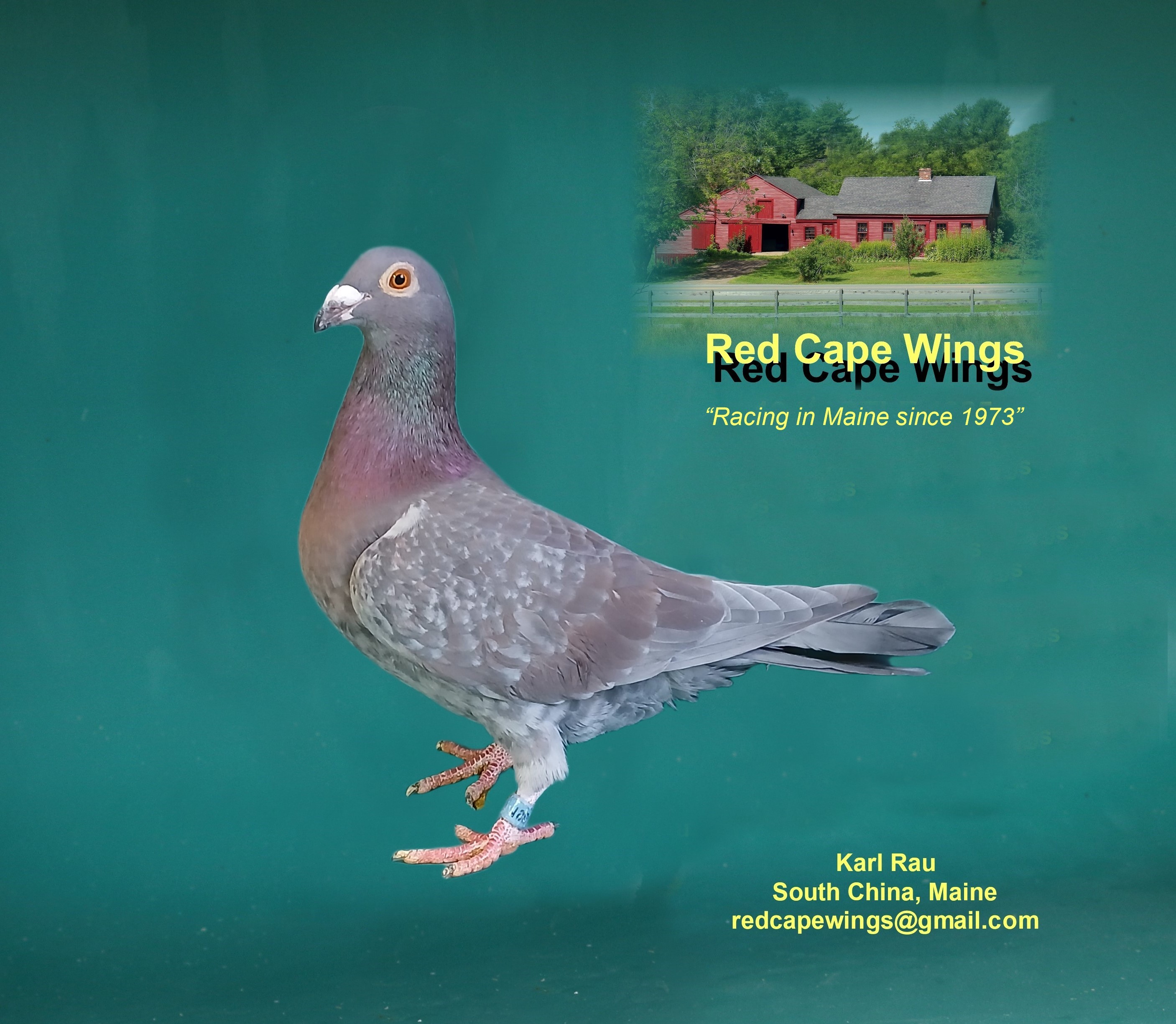 25 ATB 198 Pure Trenton Bronze Indigo