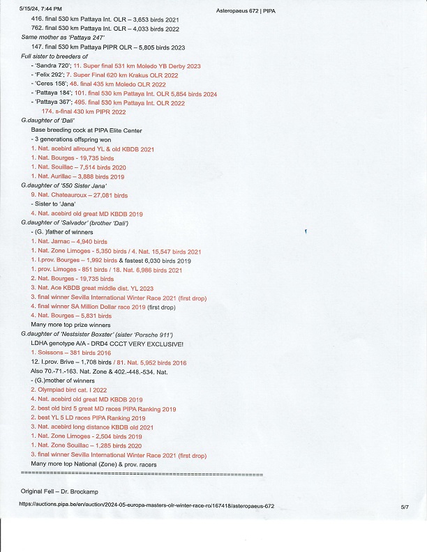 Preview Image 7
