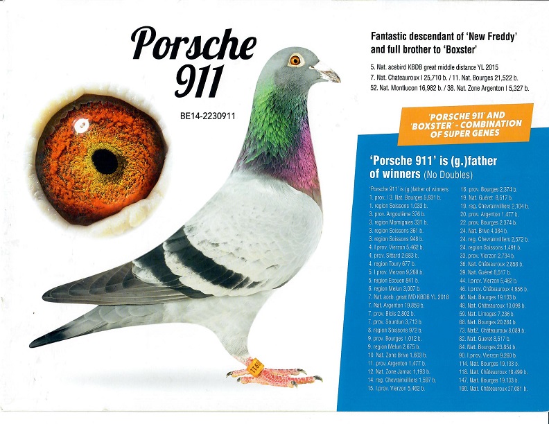 Preview Image 10