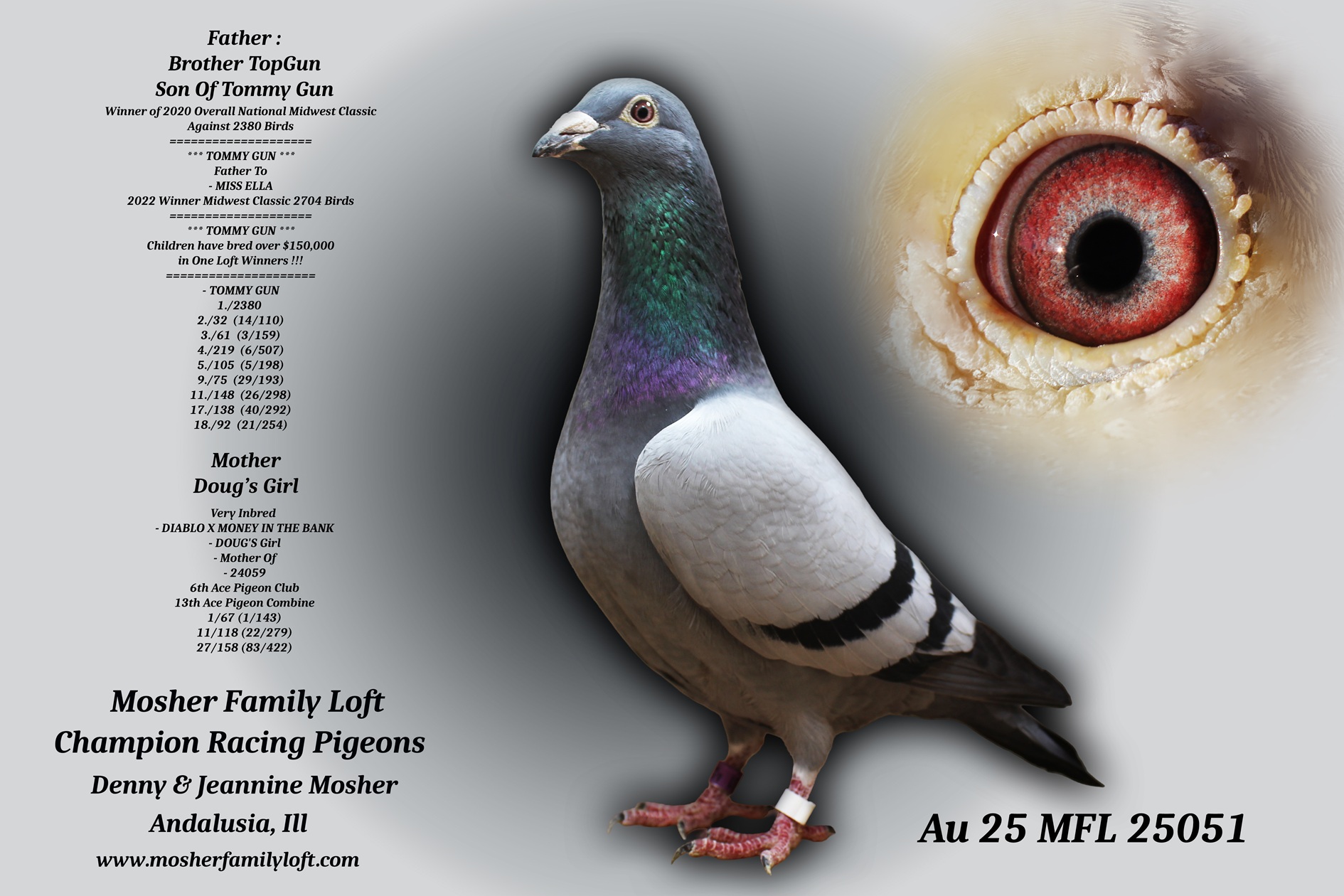 AU 25 MFL 25051 Cock