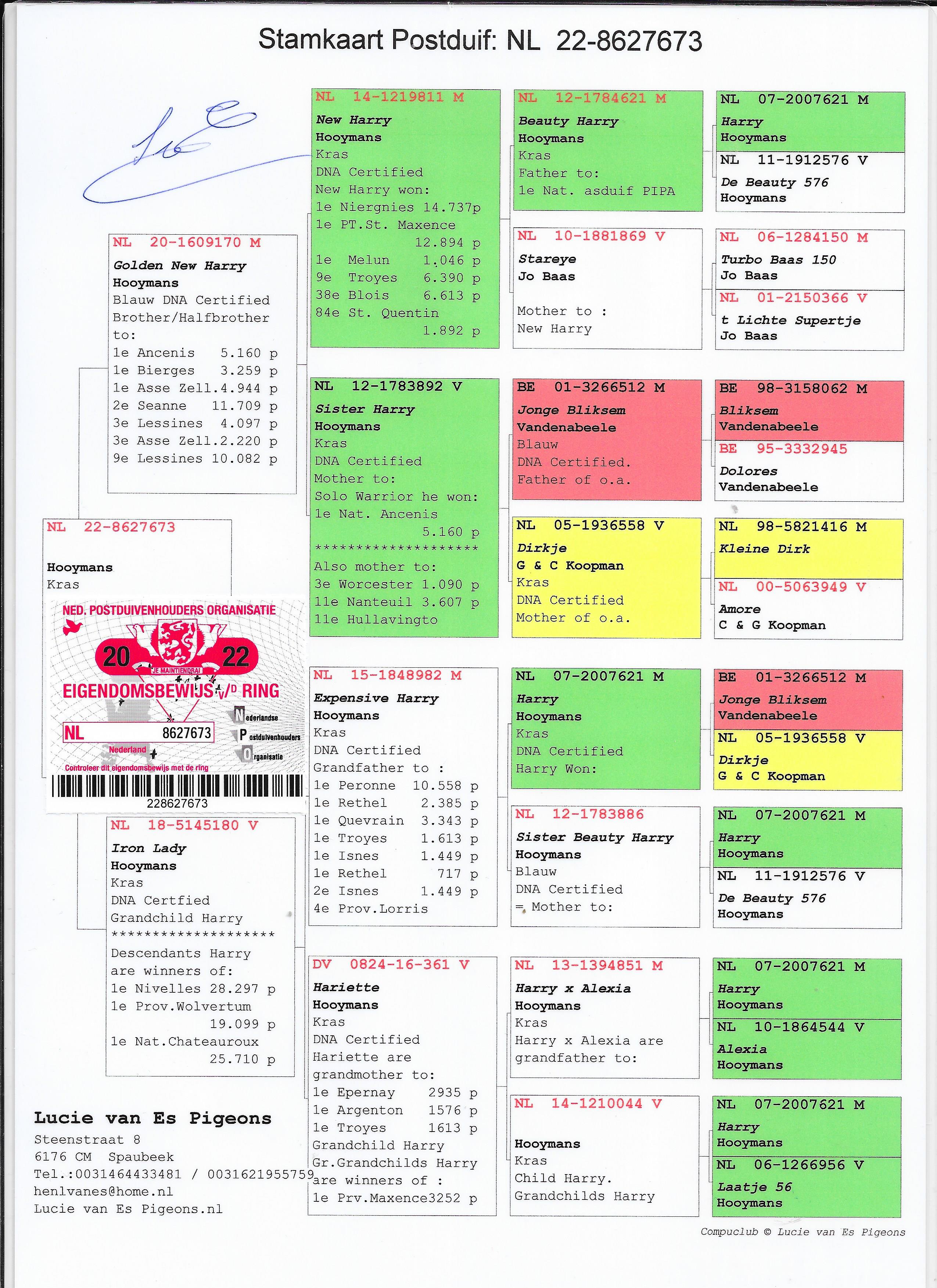 iPigeon.com - Racing Pigeon Auction, image size:2550x3507