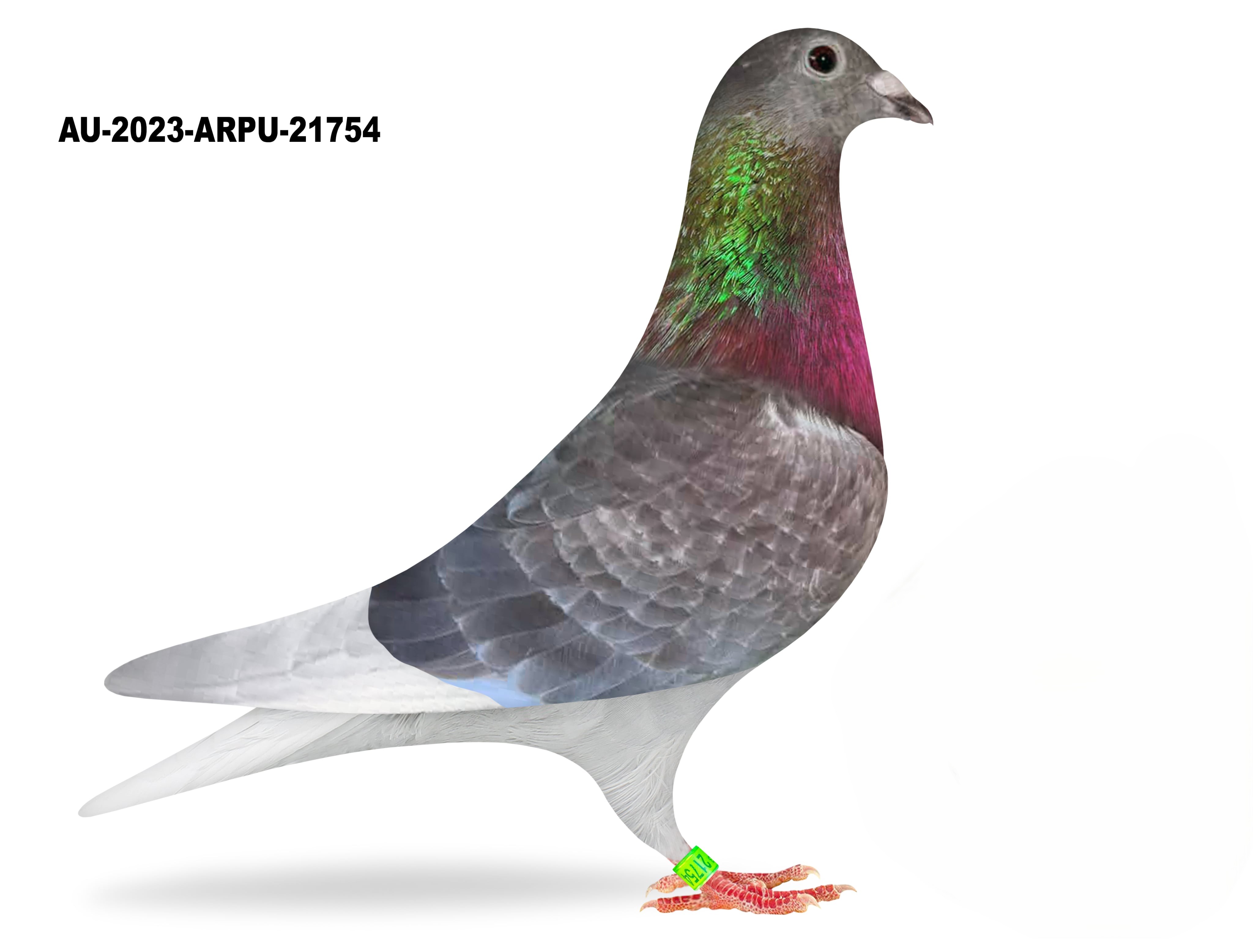 Donated by Keith LaJack