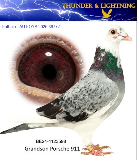 Preview Image 2