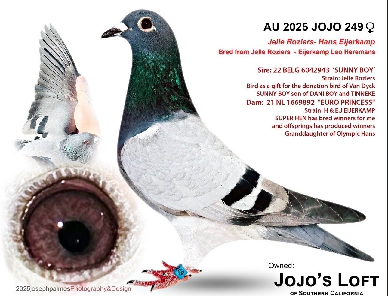 AU 2025 JOJO 249 BTIC H Jelle Roziers - Eijerkamp Leo Heremans