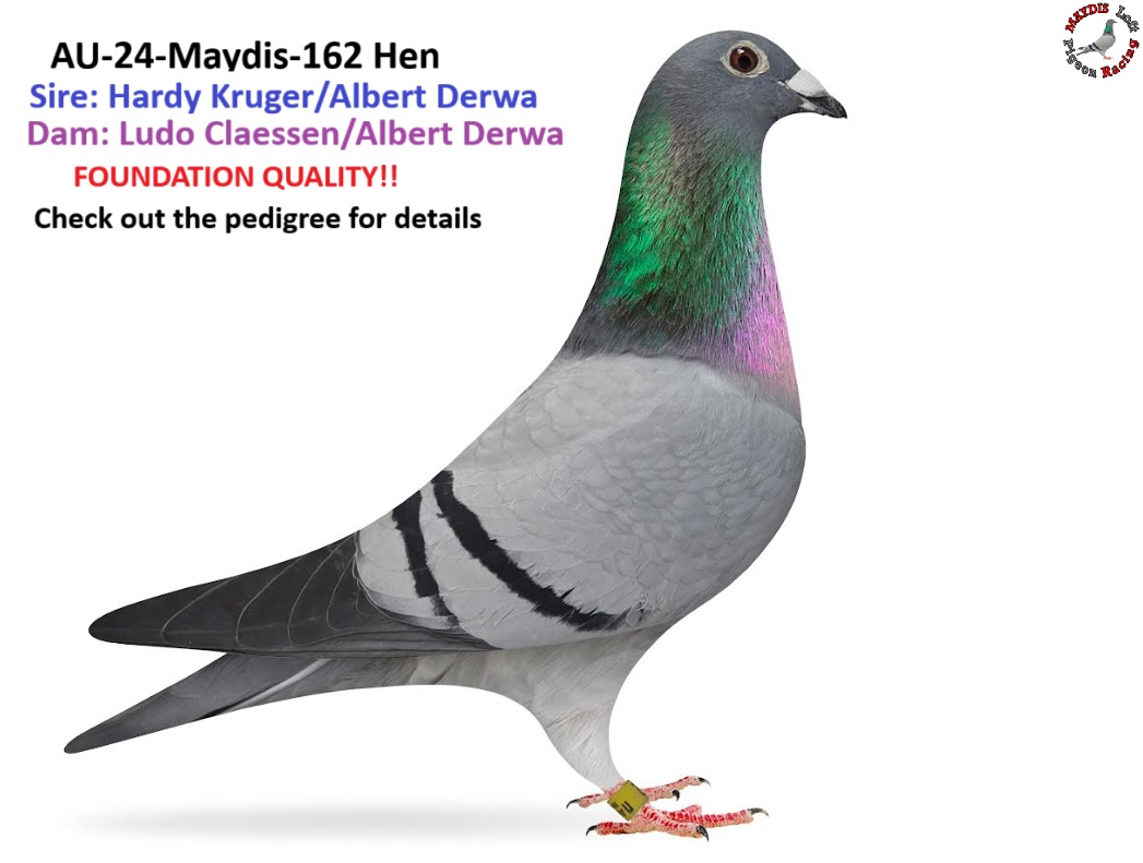 Foundation Quality - From Proven Family