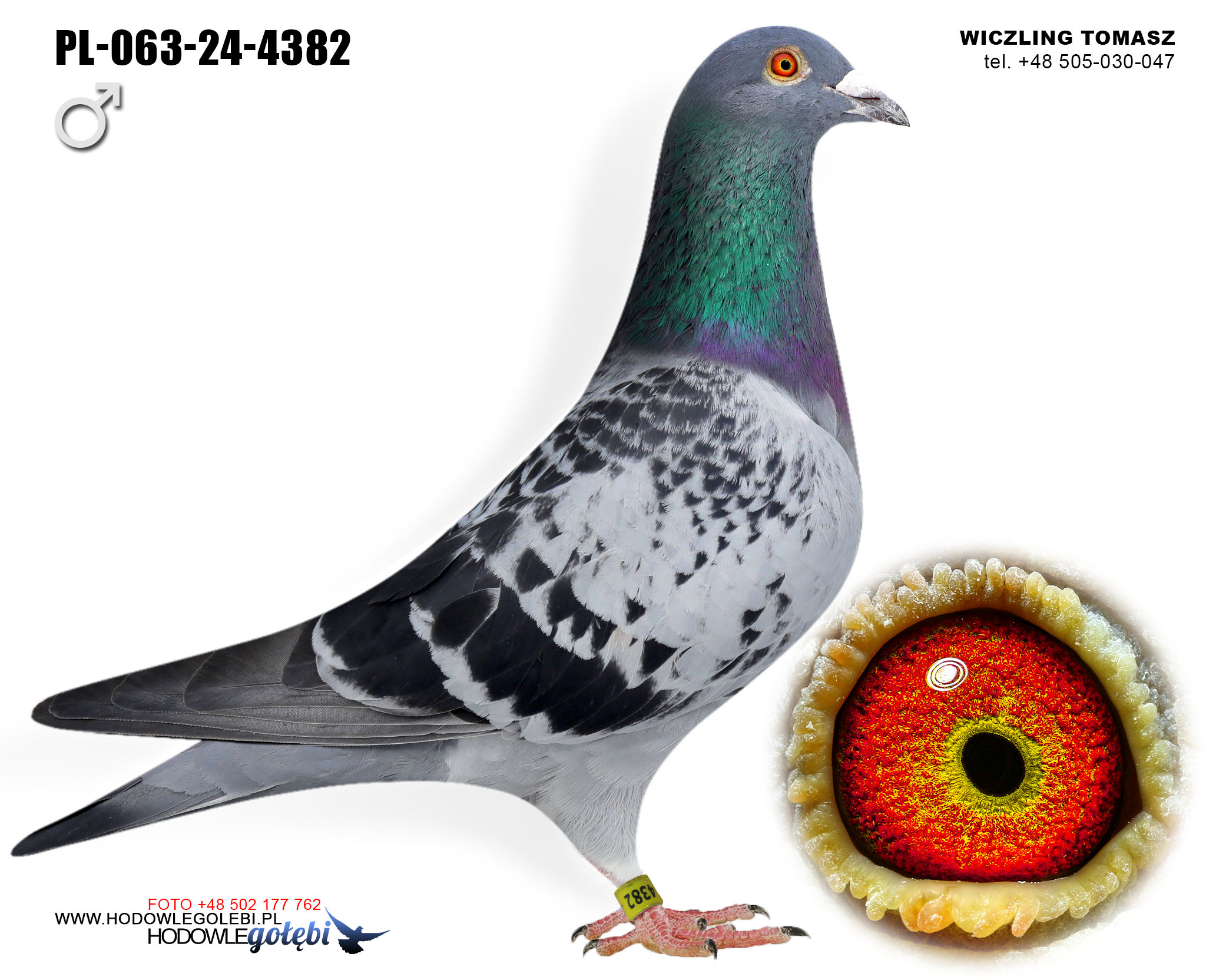 PL-063-24-4382 C