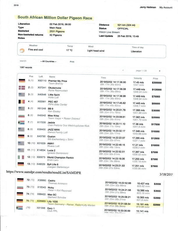 Preview Image 5