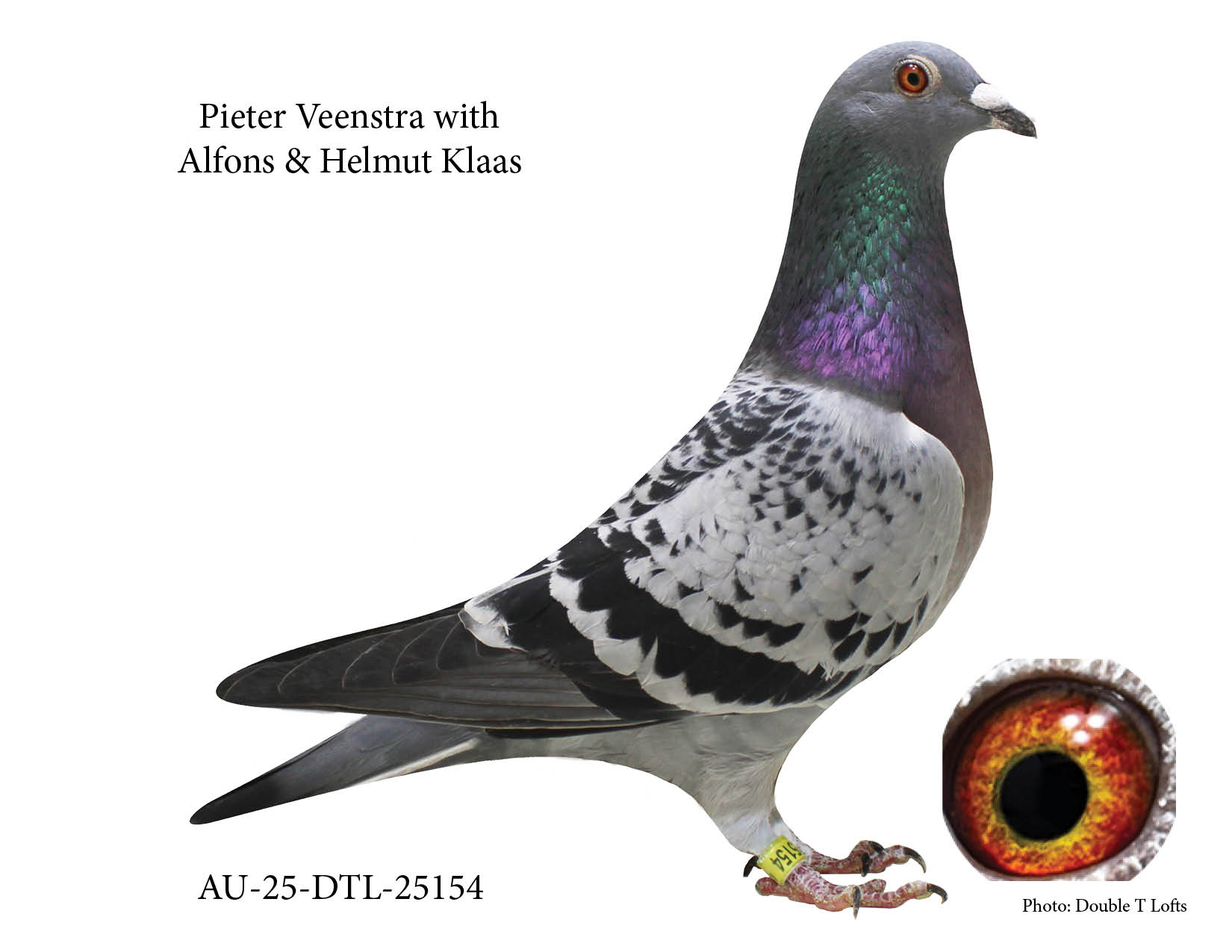 Pieter Veenstra with Alfons & Helmut Klaas